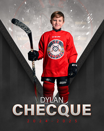 DYLAN.CHECQUE.2025