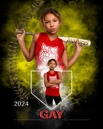 gayalexa2024