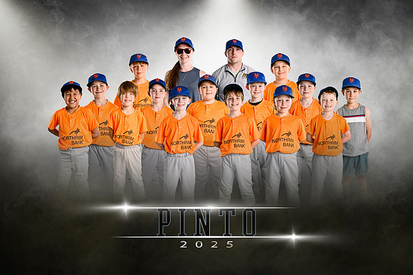 pinto.mets.team