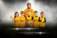Alcan tball