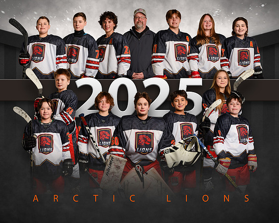 14UARTICLIONS2025