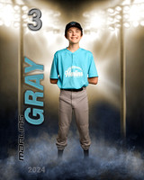 gray'24