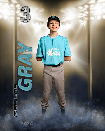 gray'24