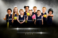 Alaska 529 TEAM