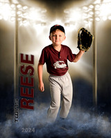 reesel2024