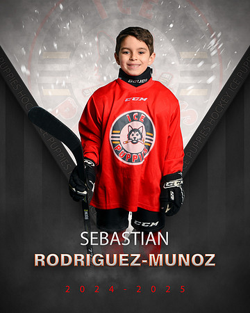 SEBASTIAN.RODRIGUEZ.2025