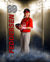feddersenharper2024