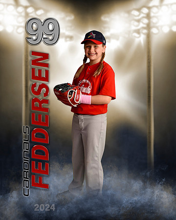 feddersenharper2024