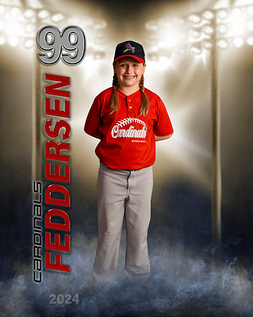 feddersenharper3