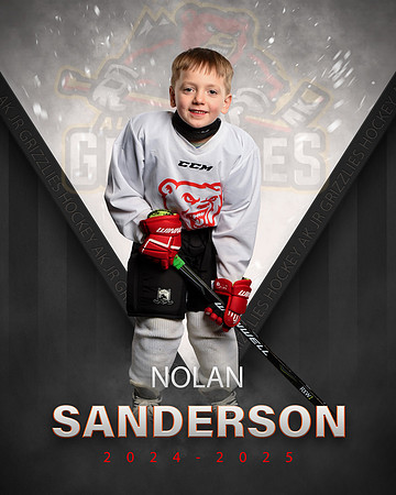 NOLAN.SANDERSON