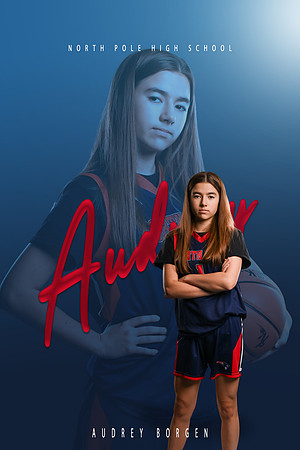 A.borgen26