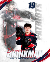 DBRINKMAN26-2