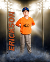 erickson2024