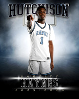 1HAYNES3