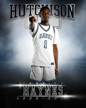 1HAYNES3