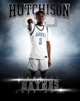 Haynes