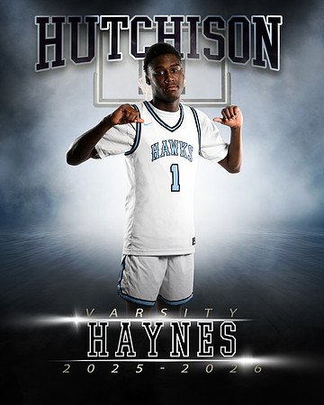 1HAYNES1
