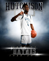 1HAYNES2