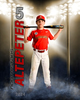 altepeter24 copy