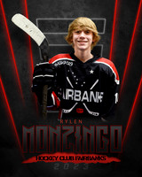 23rylenmonzingo