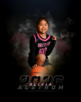 oalstrom..2026