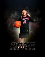 zalstrom2026