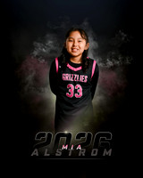 malstrom2026