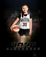 v.alexander..2026