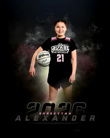 s.alexander..2026