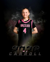 m.J.Carroll.26