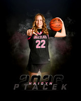 Hptacek2026