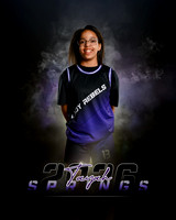 t.springs.26_(2)
