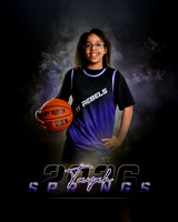 t.springs26_(2)