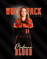 m.blood2026