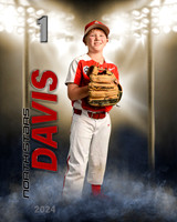 davis24