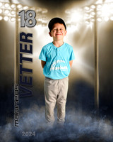 Vetter2024