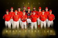 NS 14U TEAM