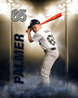 palmer'24