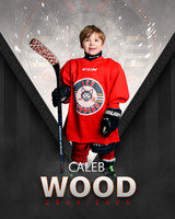 Wood