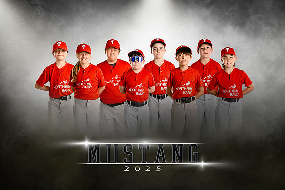 mustang.pillies.team