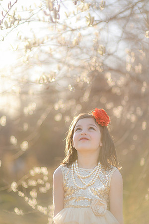 DSC_2798-2_edited-1