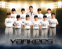 yankeesblack copy