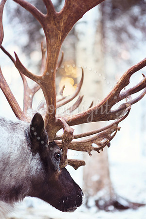 metalart8