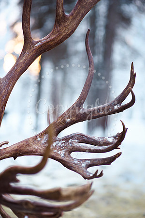 metalart5