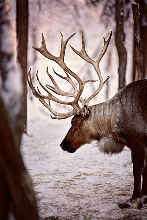 DSC_8628_edited-3
