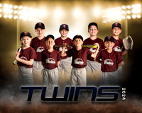 twinsfaris copy
