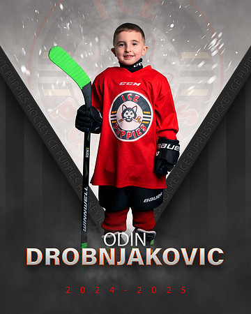 ODIN.DROBNJAKOVIC.2025