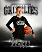 H.ptacek