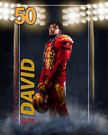 david3