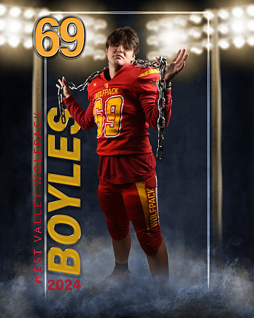 boyles3
